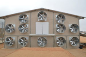 DYNMIC AUTOMATION - FANS - PERICOLI - CONE FANS